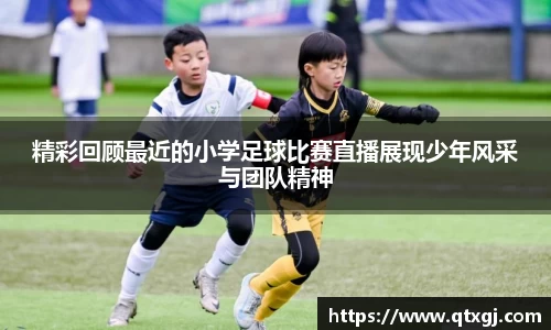 k1体育