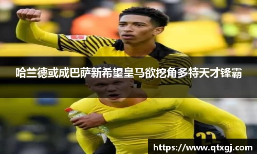 k1体育官网