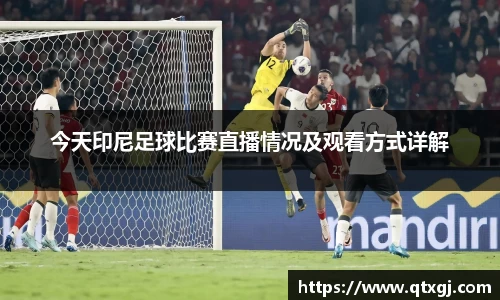 k1体育下载安装