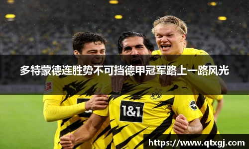 多特蒙德连胜势不可挡德甲冠军路上一路风光